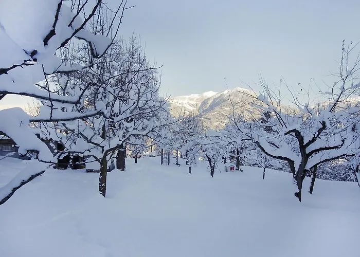 Untererhof-3 By Interhome شقة *